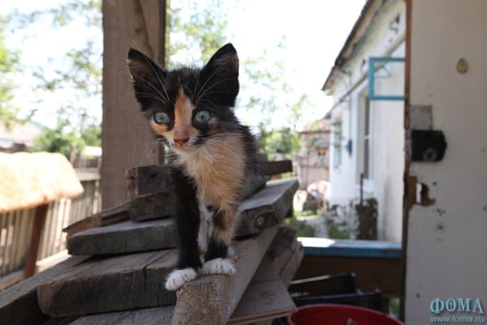 Помощь по адресу