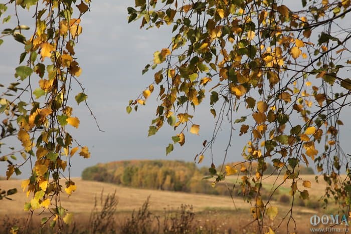 В тени большого города