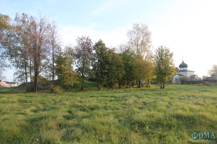 В тени большого города