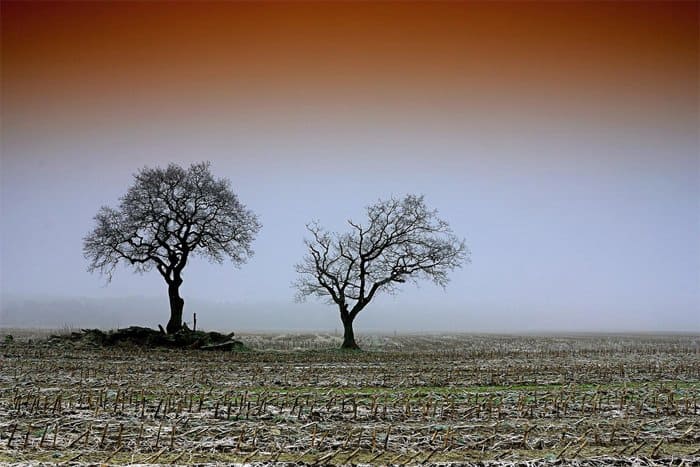 Атеизм и вера: два полюса. Первая часть