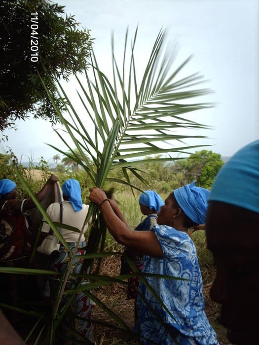 Записки из Конго