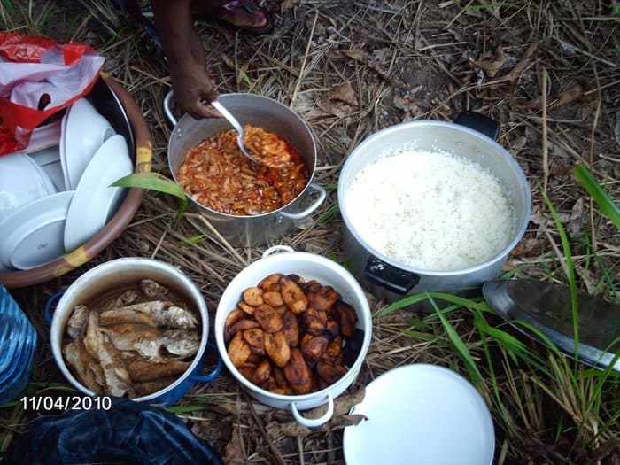 Записки из Конго