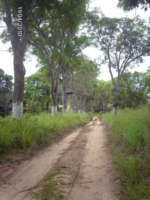 Записки из Конго