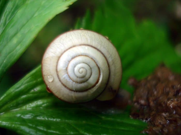 Прекрасное в привычном