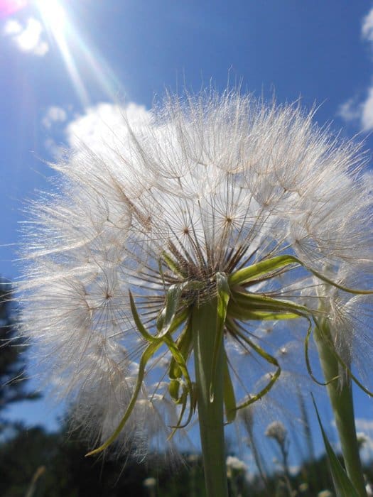 Прекрасное в привычном