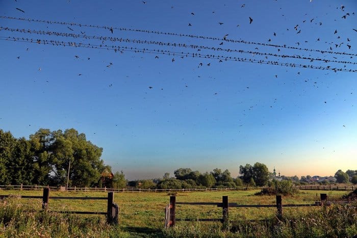Прекрасное в привычном