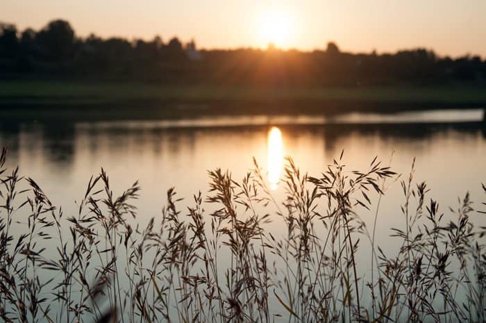 Прекрасное в привычном