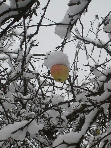 Прекрасное в привычном