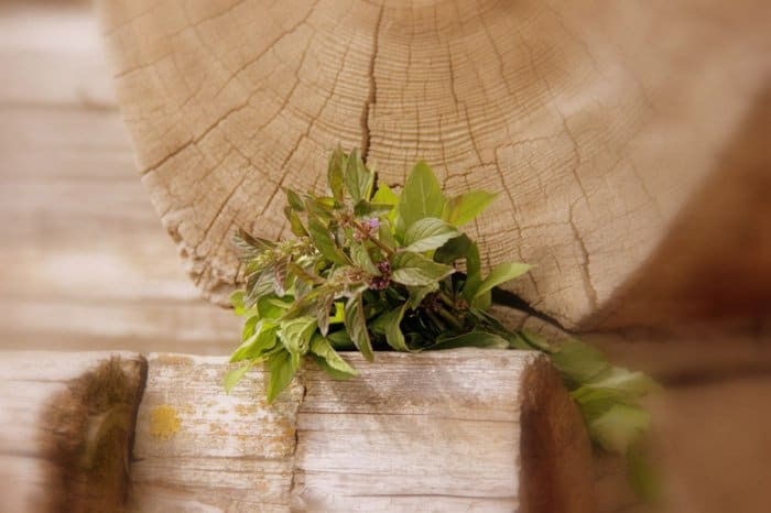 Прекрасное в привычном