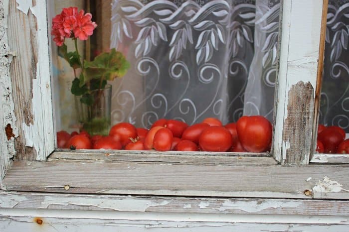 Прекрасное в привычном