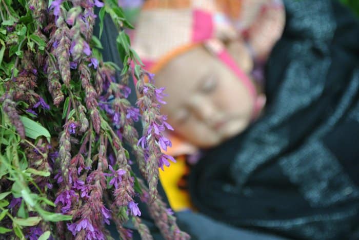 Прекрасное в привычном