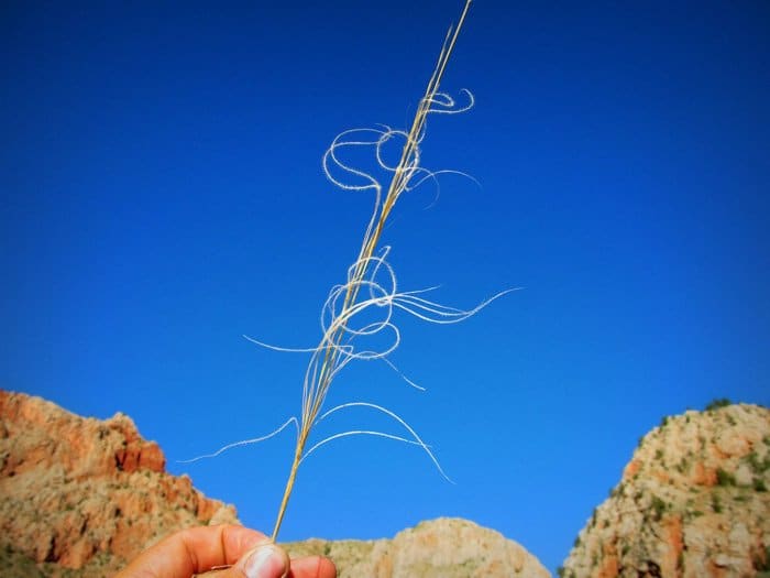 Прекрасное в привычном