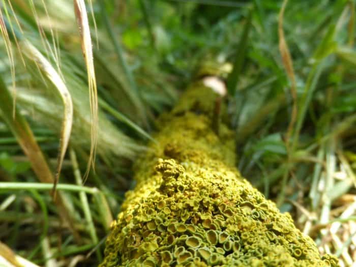 Прекрасное в привычном