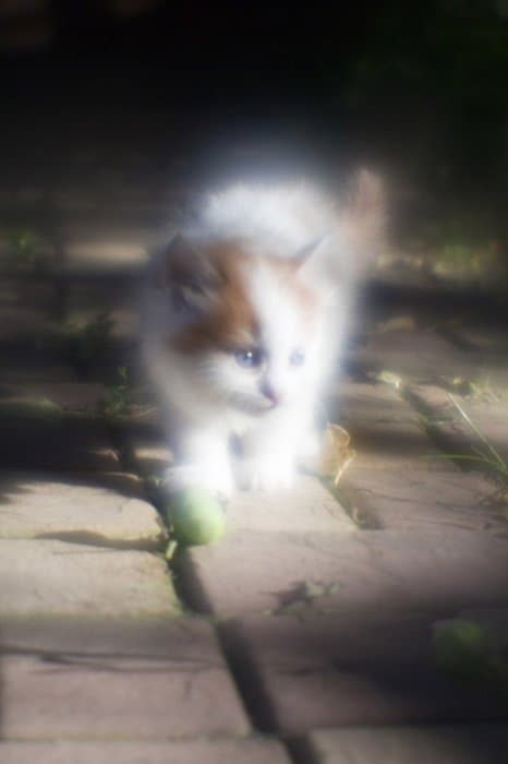 Прекрасное в привычном