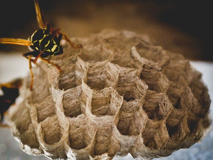 Прекрасное в привычном