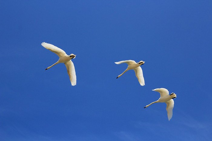 Прекрасное в привычном