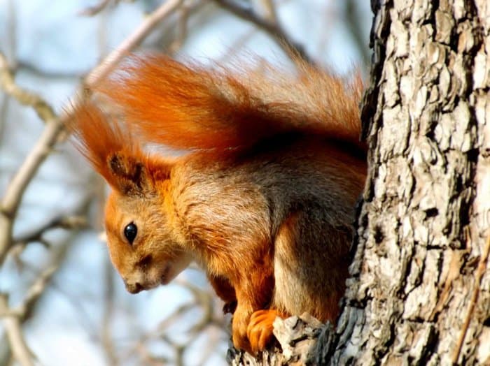 Прекрасное в привычном