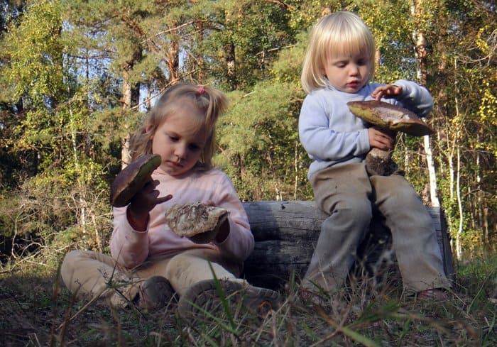 Семья, любовь и верность