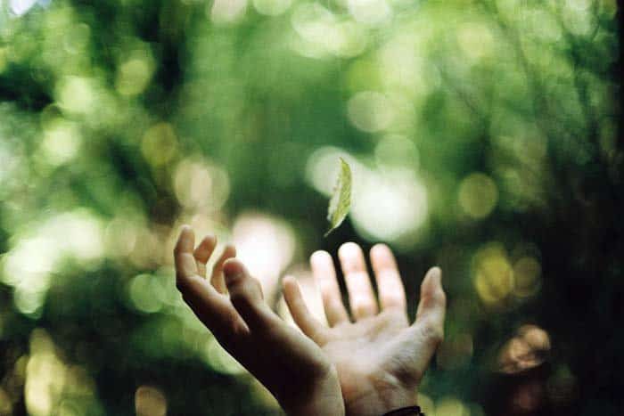 "Человек и Церковь. Путь свободы и любви"