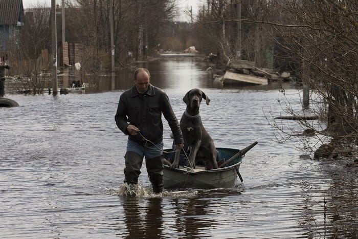 Best of Russia: избранные работы фотоконкурса глазами «Фомы»