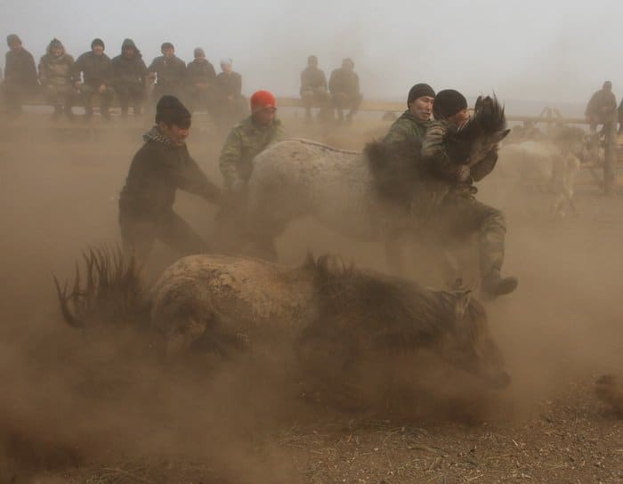 Best of Russia: избранные работы фотоконкурса глазами «Фомы»